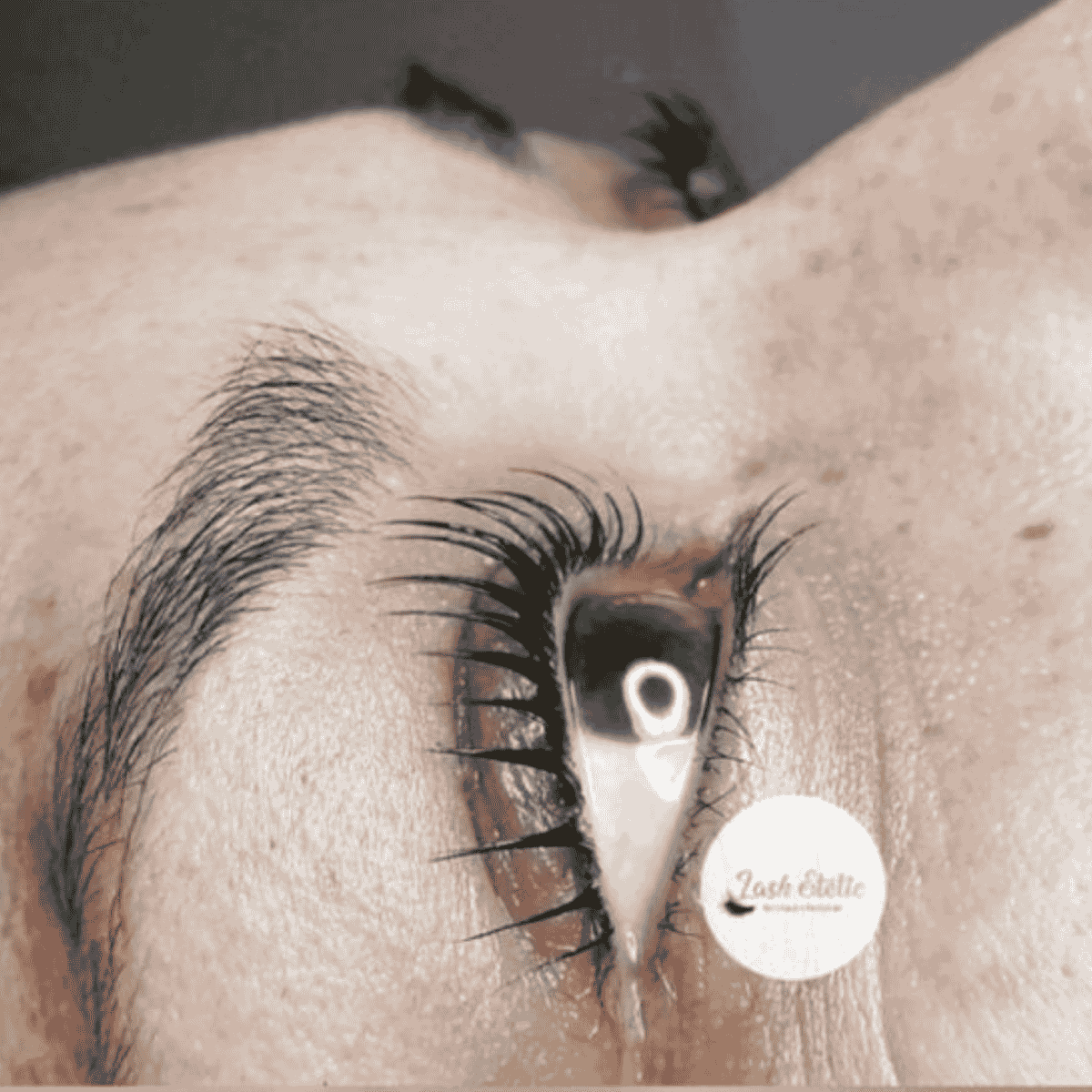 abajo 1 (1200 x 1200 px) (1200 x 1200 px) (1)